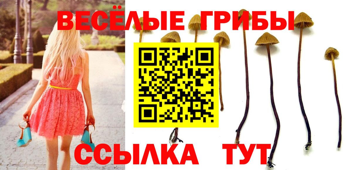Псилоцибиновые грибы MAGIC MUSHROOMS Карпинск