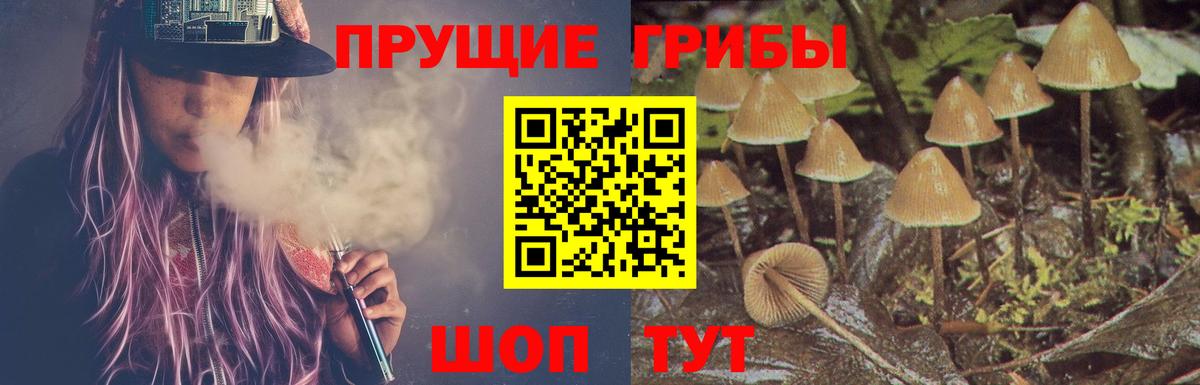 Псилоцибиновые грибы прущие грибы  Вход с VPN  Карпинск  Псилоцибиновые грибы ЛСД 